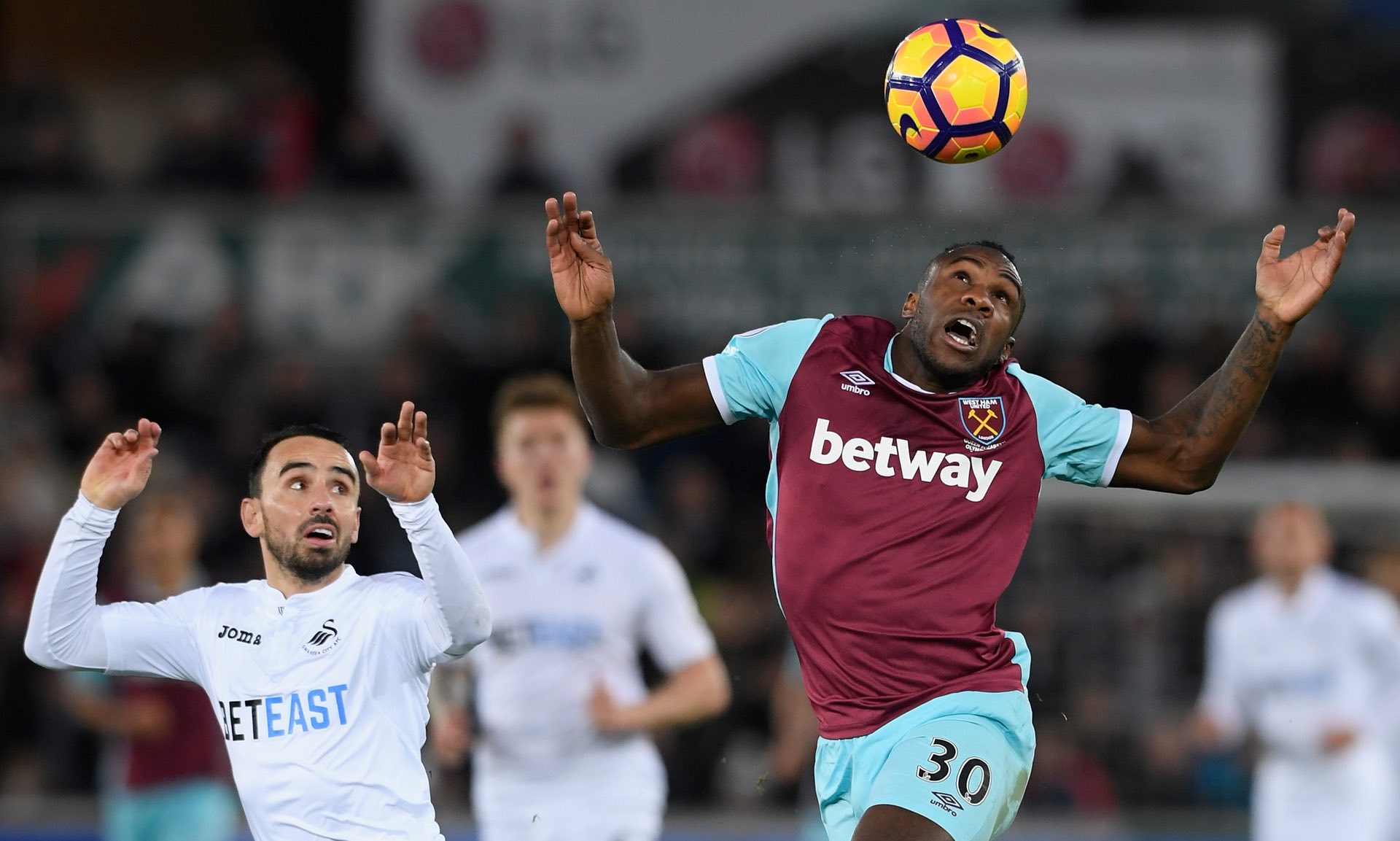 普利西奇在 普利西奇在