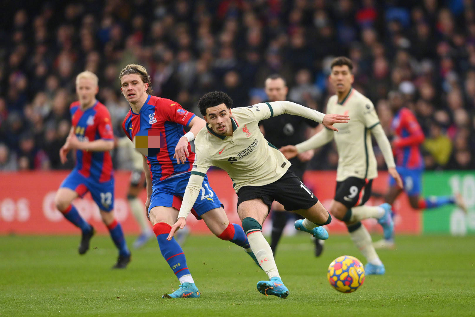 推广中医药 推广中医药